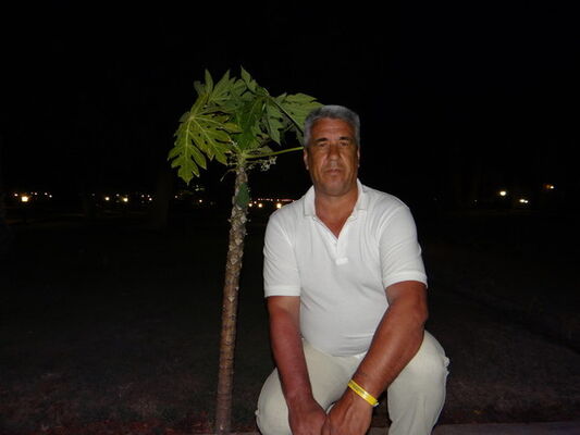 ,   , 67 ,   