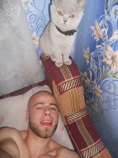  ,   , 33 ,   