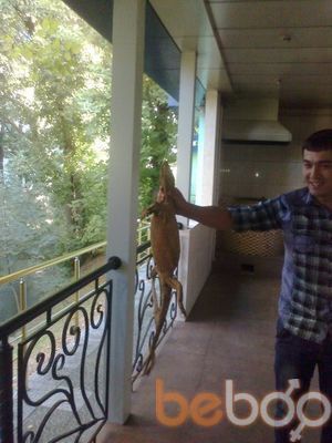  3448577  Mir nur, 42 ,    