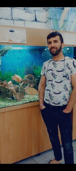  ,   , 34 ,   c , 