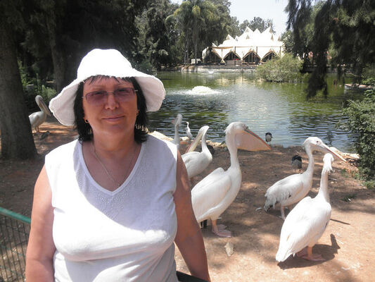  ,   , 59 ,   c 