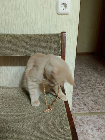  ,   , 41 ,   ,   , c 