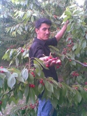 ,   Snayper, 41 ,   