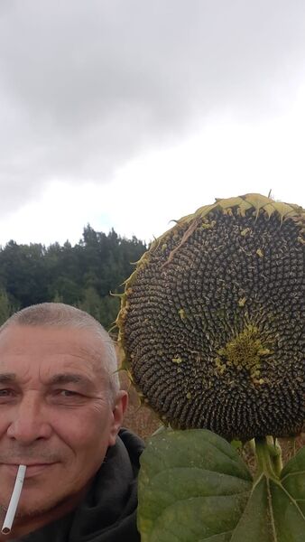  ,   , 53 ,   c 