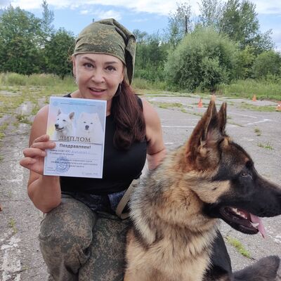  ,   , 82 ,   ,   , c , 