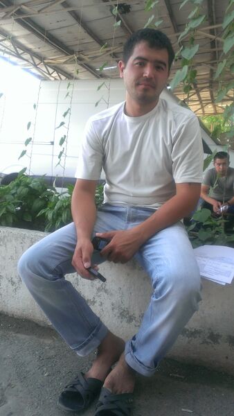  ,   Temur, 37 ,   