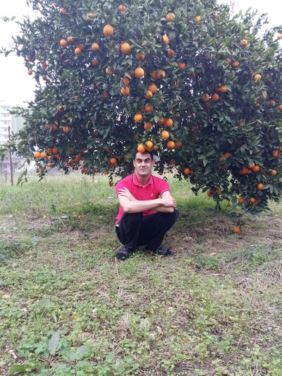  ,   , 39 ,   ,   