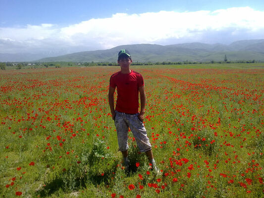  ,   Baisal, 34 ,   