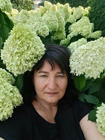  ,   , 53 ,   c 