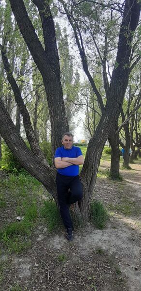  -,   , 56 ,   ,   , c 
