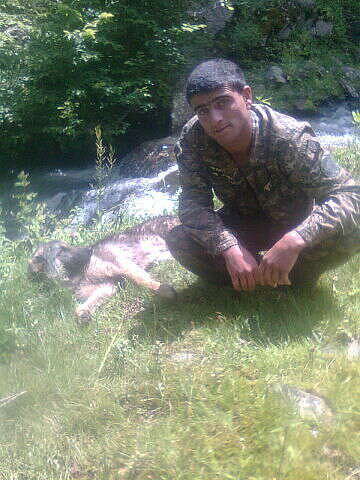  ,   Volodia, 36 ,   ,   