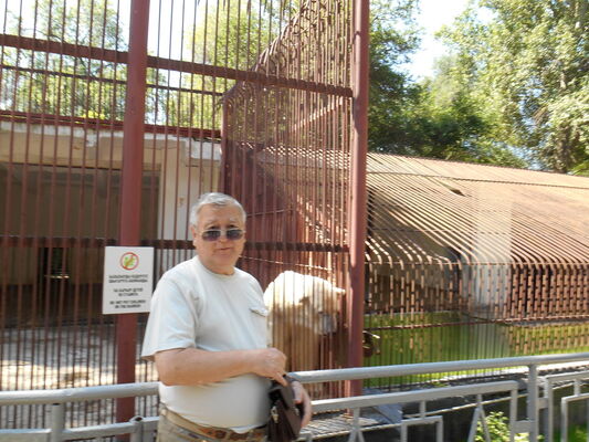  -,   , 76 ,   ,   , c 