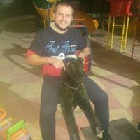  ,   , 39 ,   