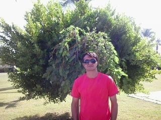  ,   Timur, 50 ,   ,   , c 
