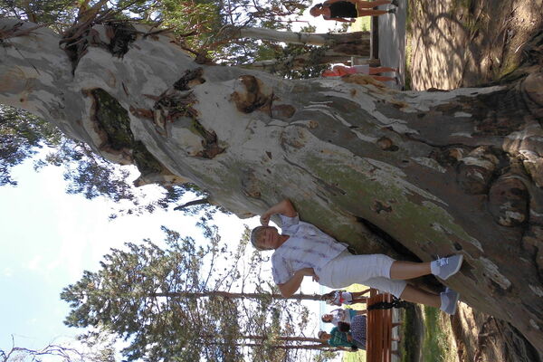  ,   , 71 ,   ,   , c 