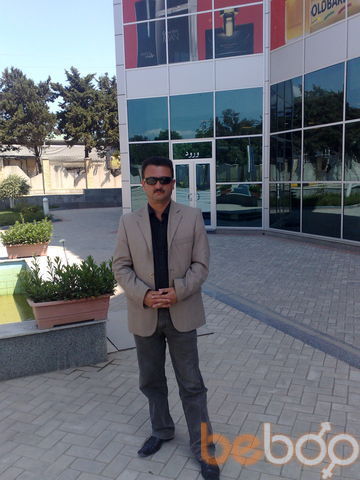  ,   Saxib, 48 ,     , c 