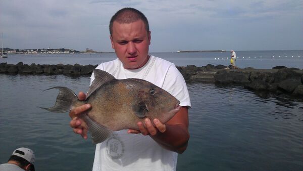  ,   , 41 ,   ,   , c 