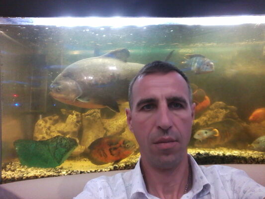  ,   Dbrnjh, 52 ,   