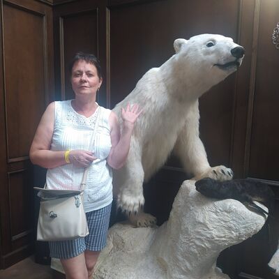  ,   , 54 ,     