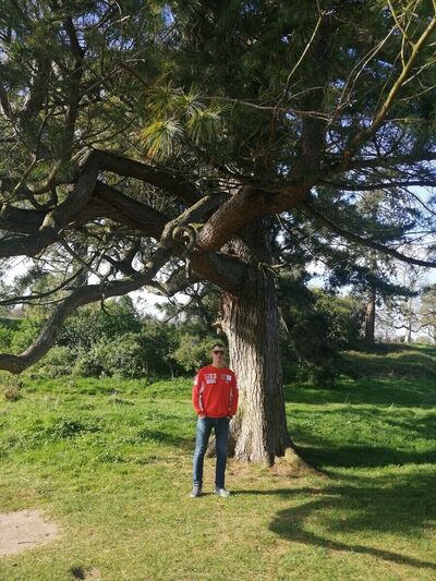  Na Sollain,   Maxim, 35 ,   ,   , c 
