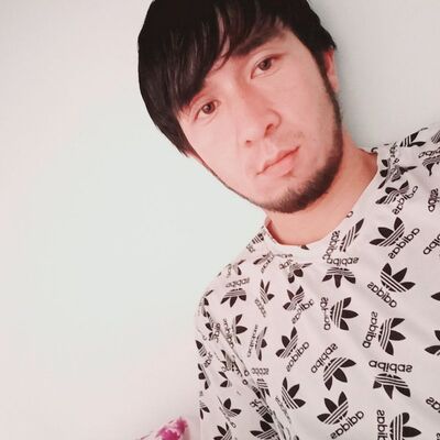  ,   Abu, 31 ,   ,   