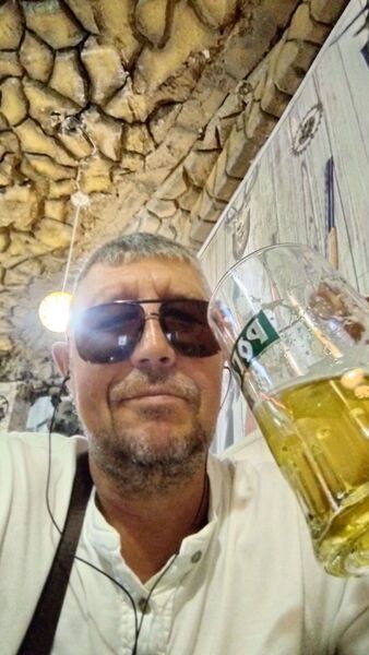  ,   German, 61 ,   ,   