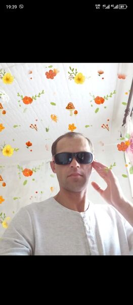   ,   , 41 ,   ,   