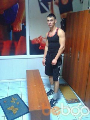  3981767  , 36 ,    
