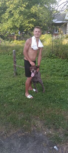  ,   Bogr, 26 ,   ,   