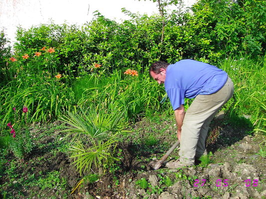  ,   , 61 ,   ,   , c , 