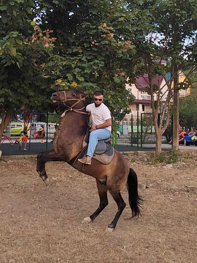  ,   Umar, 36 ,     