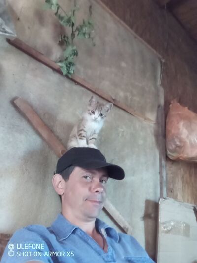  ,   , 38 ,   ,   