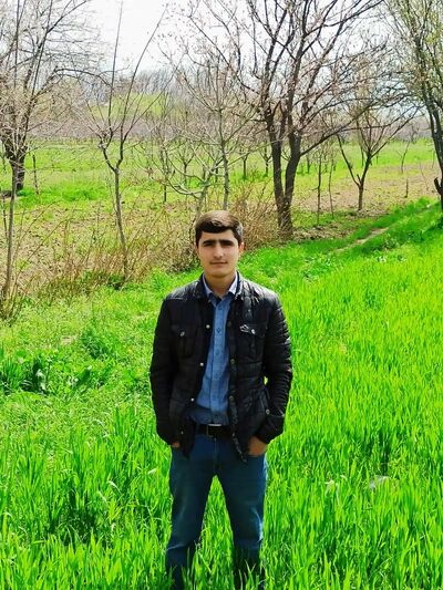  -,   , 22 ,   ,   