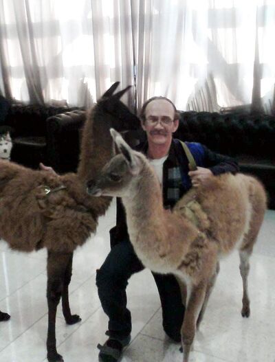 ,   , 63 ,   ,   