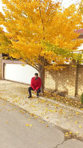  ,   Roma, 42 ,   ,   , c 