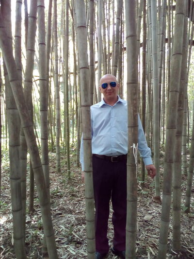  ,   , 52 ,   ,   , c , 