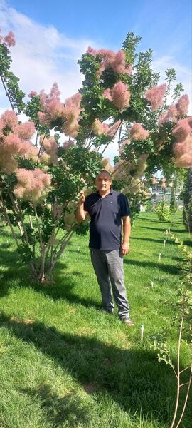  ,   Ixtiyor, 43 ,   ,   , c 
