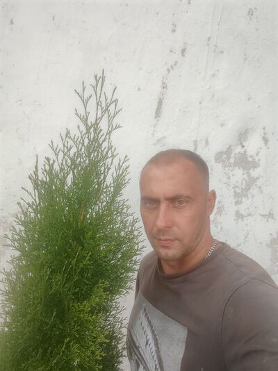  ,   , 41 ,     , c 