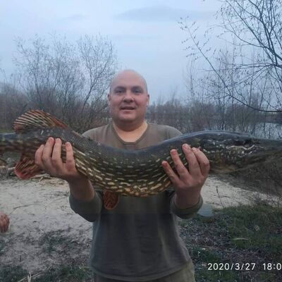  ,   , 45 ,   