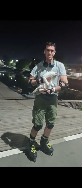  --,   , 34 ,   ,   , 