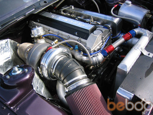  3612957  Giorgi, 32 ,    