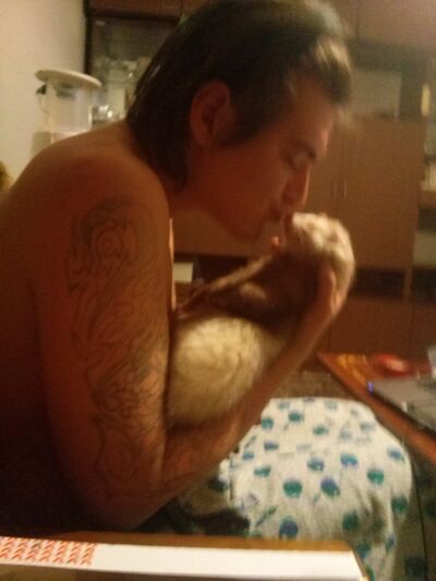  ,   , 36 ,   ,   , c 