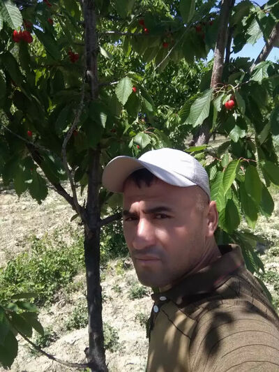  ,   Alisher, 37 ,   ,   , c , 