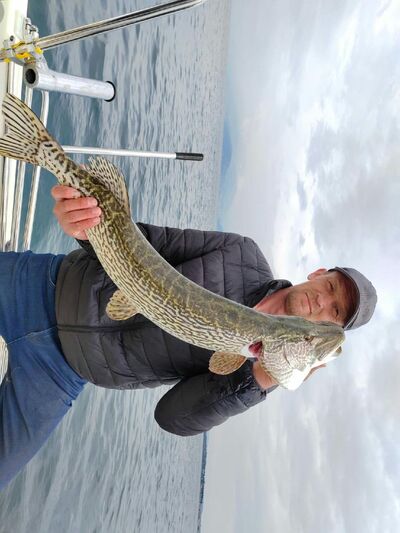  ,   Aleks, 40 ,     , c 