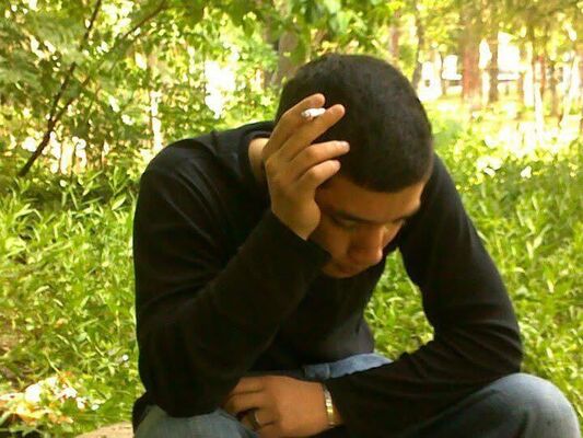  ,   Bachi, 31 ,   ,   