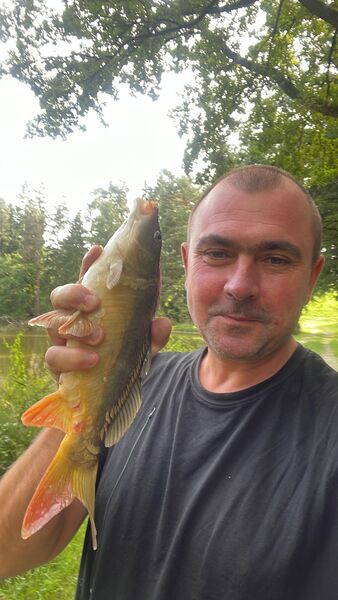  ,   , 46 ,   ,   , c 