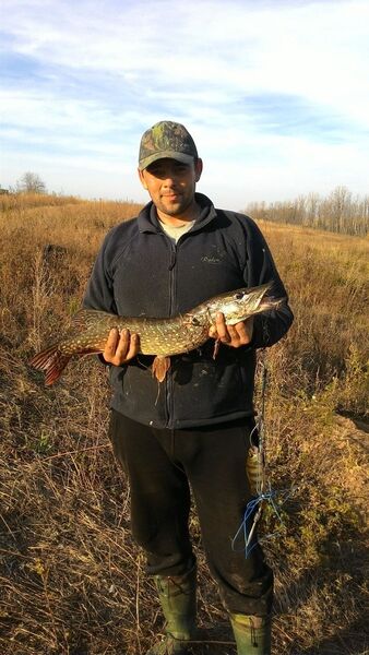  ,   , 42 ,     , c , 