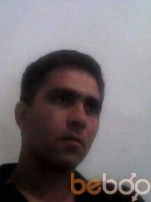  3175347  , 44 ,    