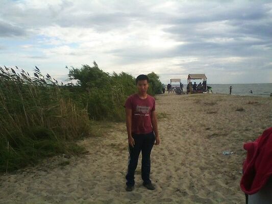  -,    , 29 ,   