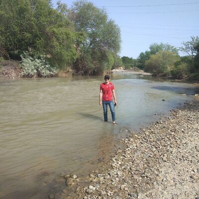  ,   , 37 ,     , c , 